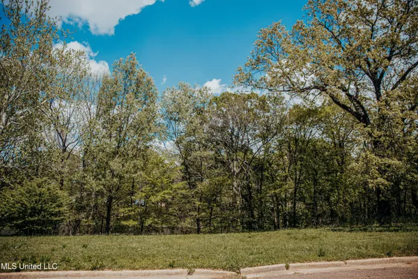 $35,000 | 1 Lakeshore Drive, Southaven, MS 38671