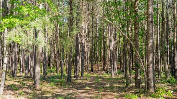 $1,495,000 | 17631 Farm Road 1159, Clarksville, TX 75426