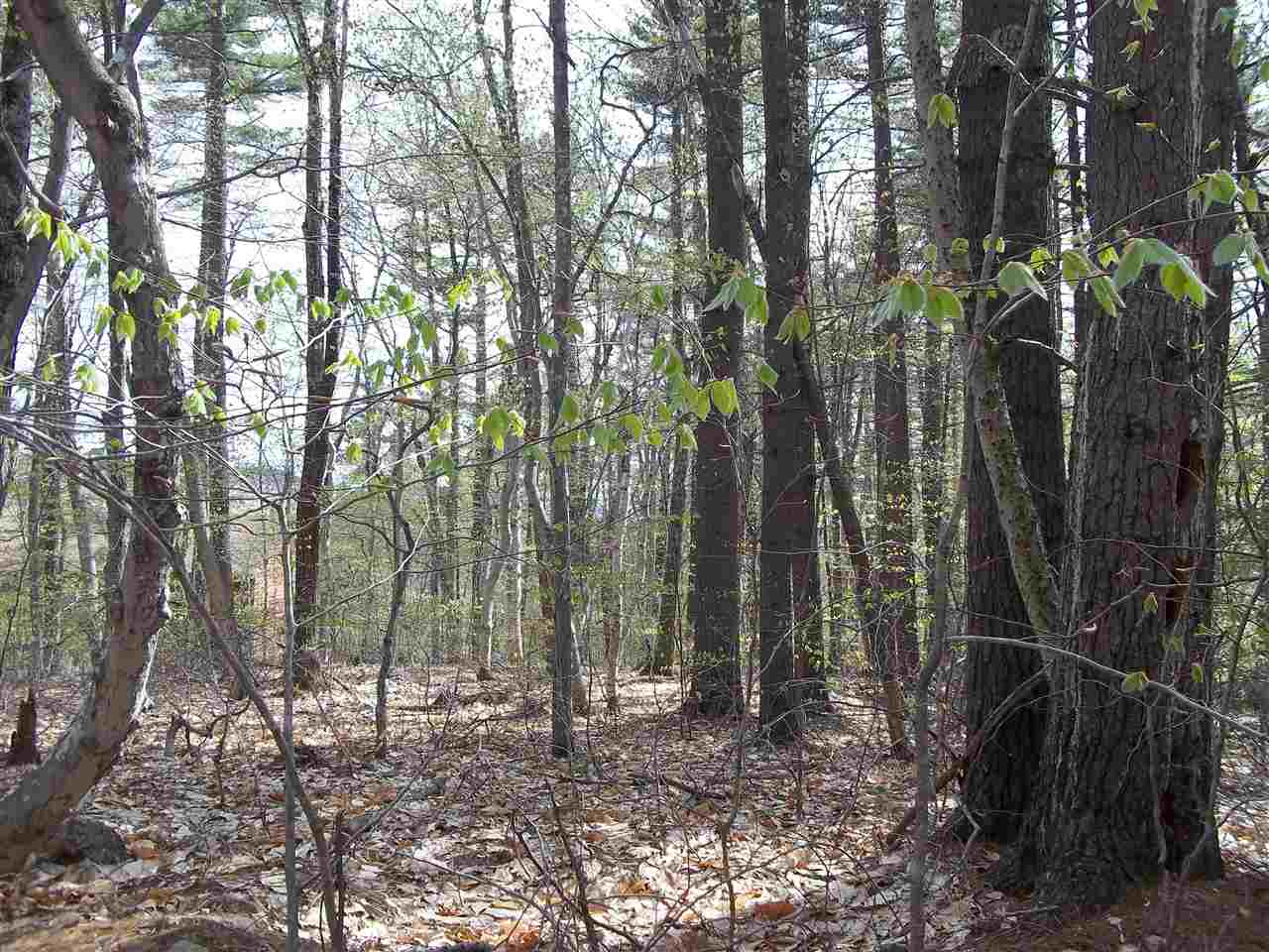 16 Visp Road Madison, NH 03849 - Photo 6 of 13