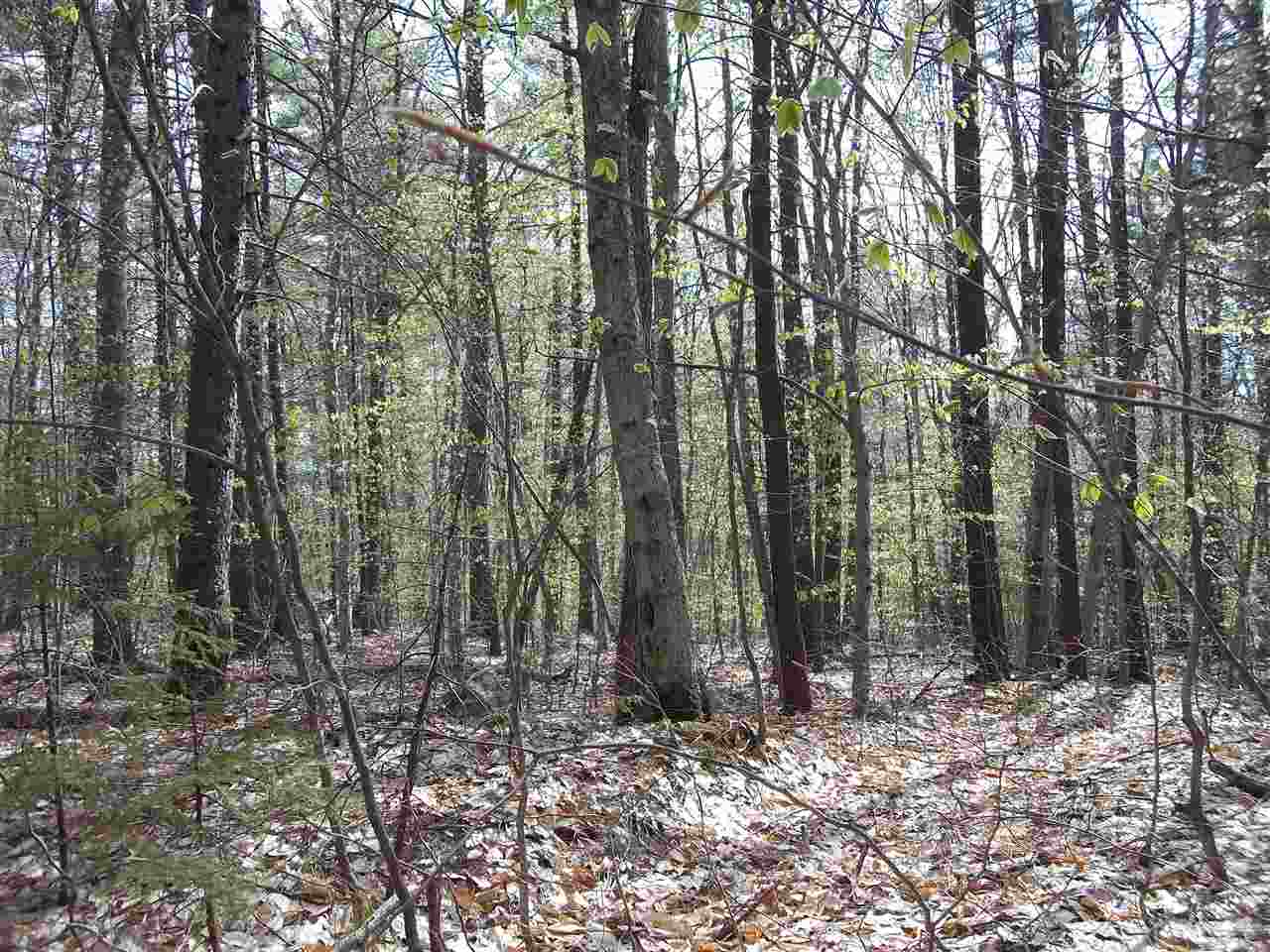 16 Visp Road Madison, NH 03849 - Photo 7 of 13