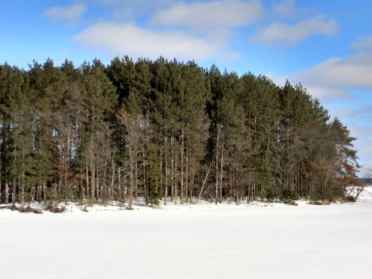 10421 Camp Rice Point Road Tomahawk, WI 54487 - Photo 5 of 8 Gallery Image 5