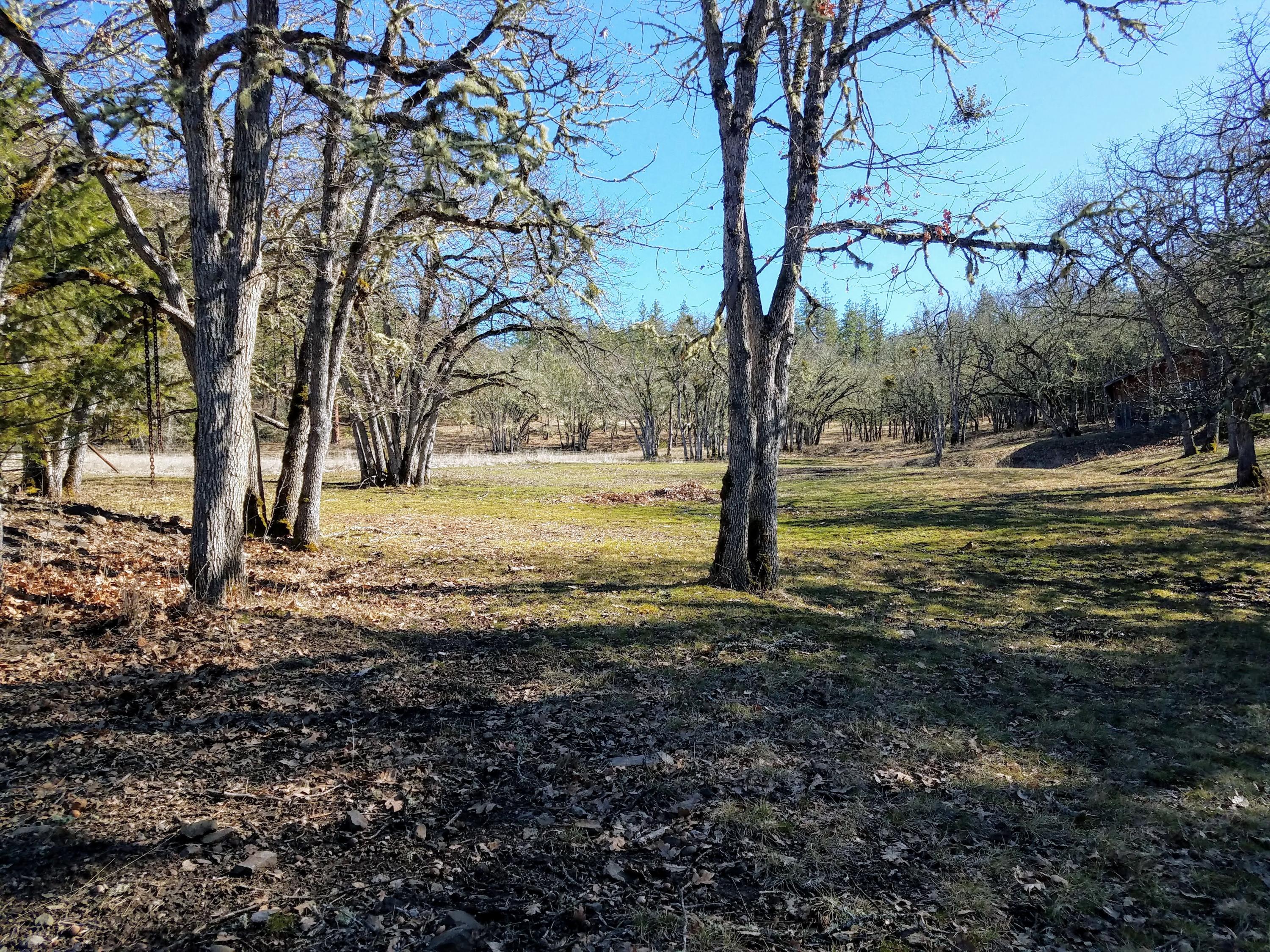 10900 East Antelope Road Eagle Point, OR 97524 - Photo 13 of 27 005 20210223_143154