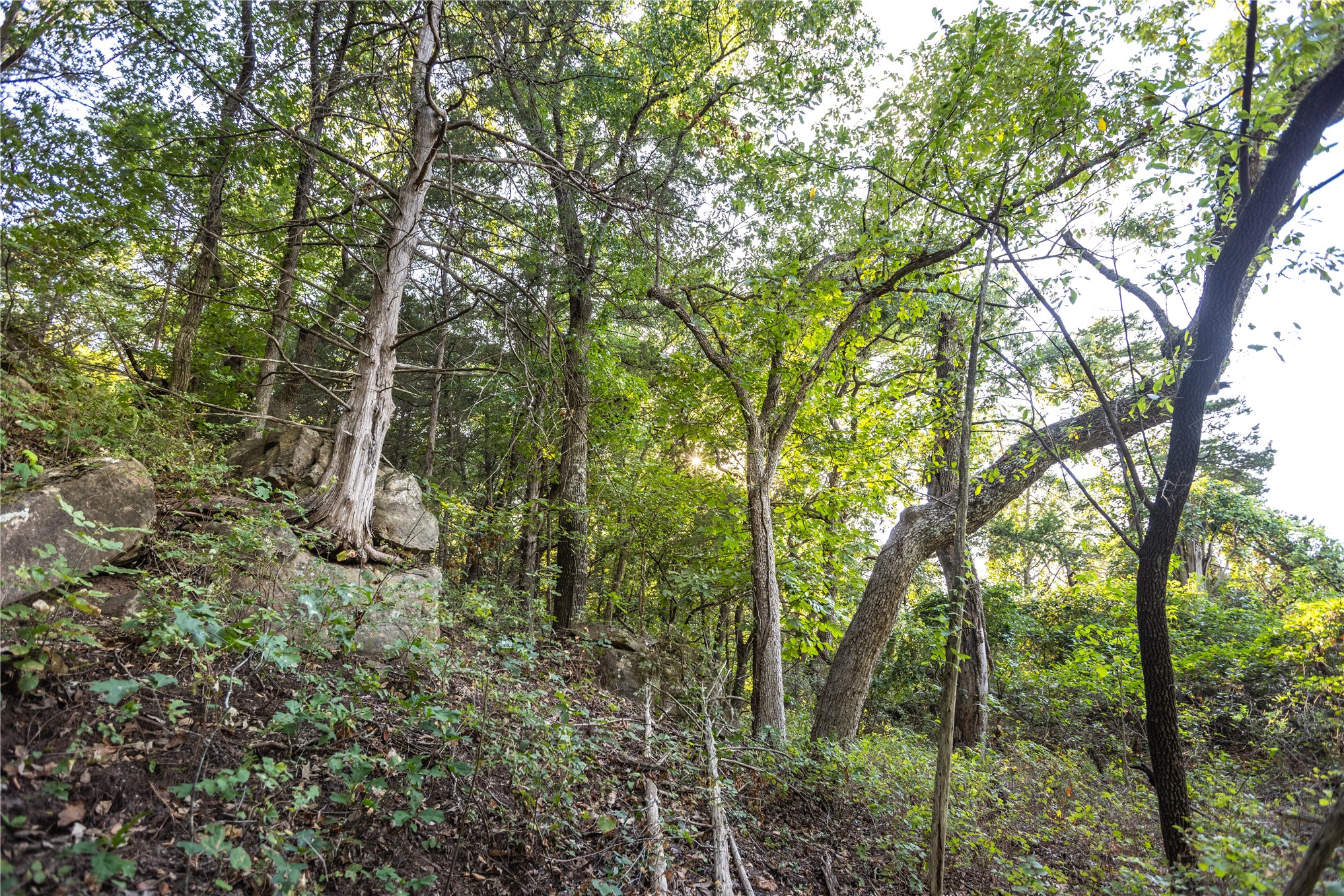 0 West Dunkin Road Cushing, OK 74023 - Photo 51 of 62 Natural wooded surroundings with mature trees and visible rock formations