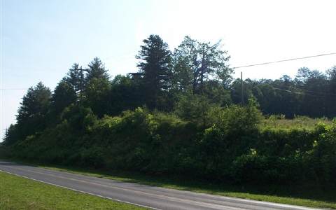 1-acr Mobile Road McCaysville, GA 30555 - Photo 1 of 1 Main View