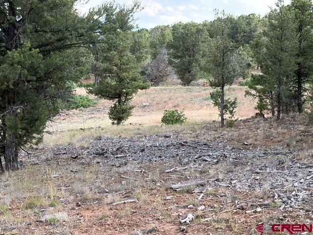 254 Waterview Cove Ridgway, CO 81432 - Photo 26 of 28