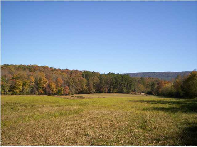 1599 Goose Pond Road Whitwell, TN 37397 - Photo 8 of 9 Additional Photo