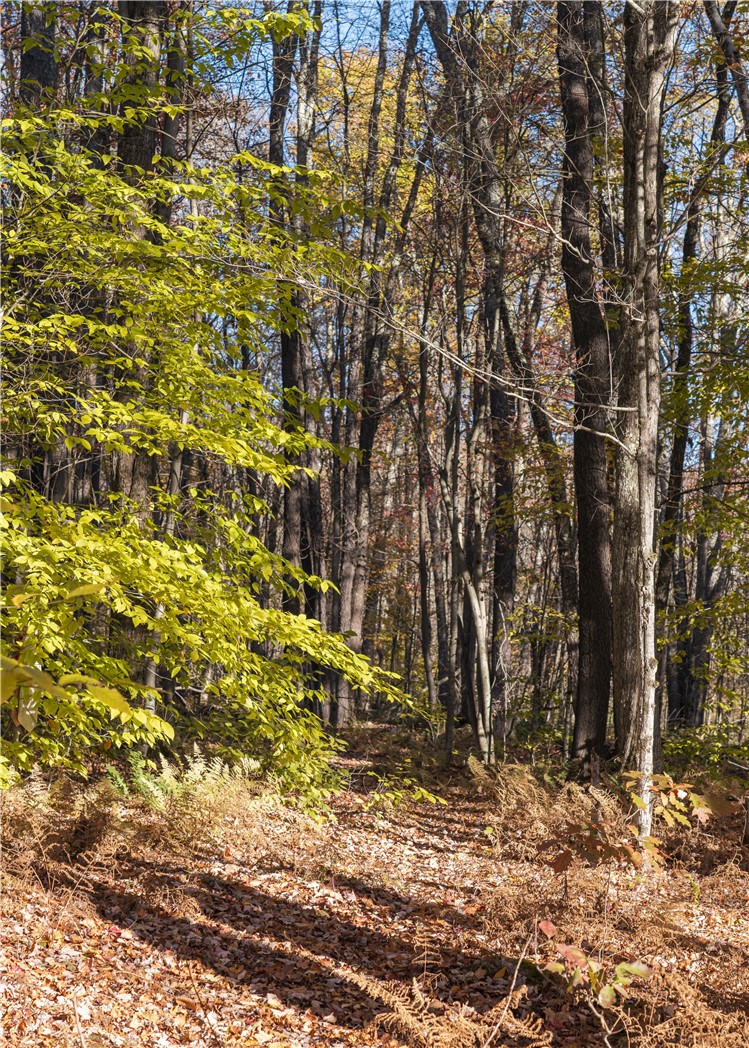 73 Reagan Road Bovina, NY 13740 - Photo 43 of 45