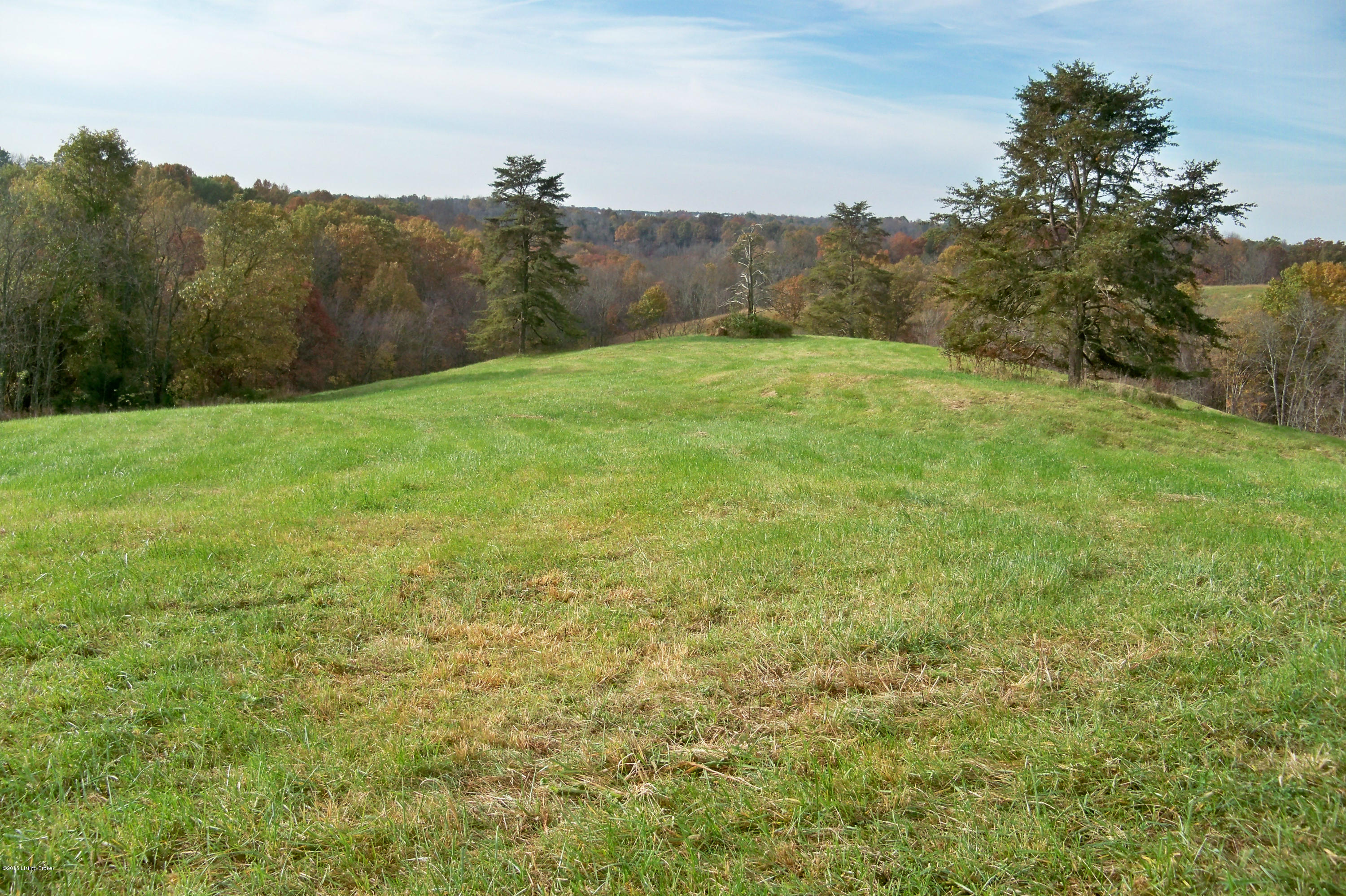 591 Prather Ridge Road Willisburg, KY 40078 - Photo 1 of 3 100_4498