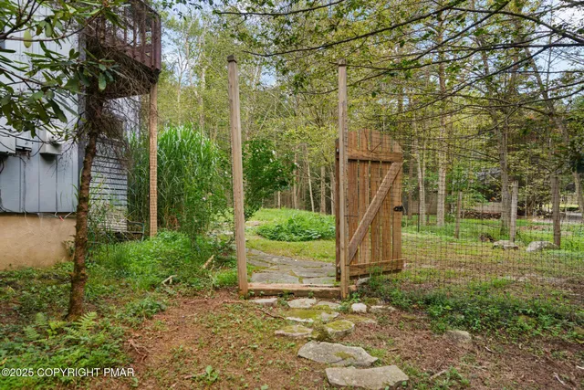 a view of a park with large trees