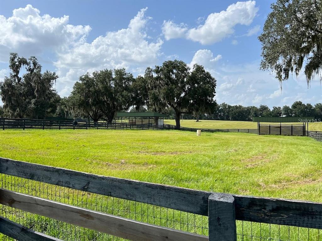 5540 Southeast 157th Street Road, Unit OPTION 1) Summerfield, FL 34491 - Photo 7 of 13