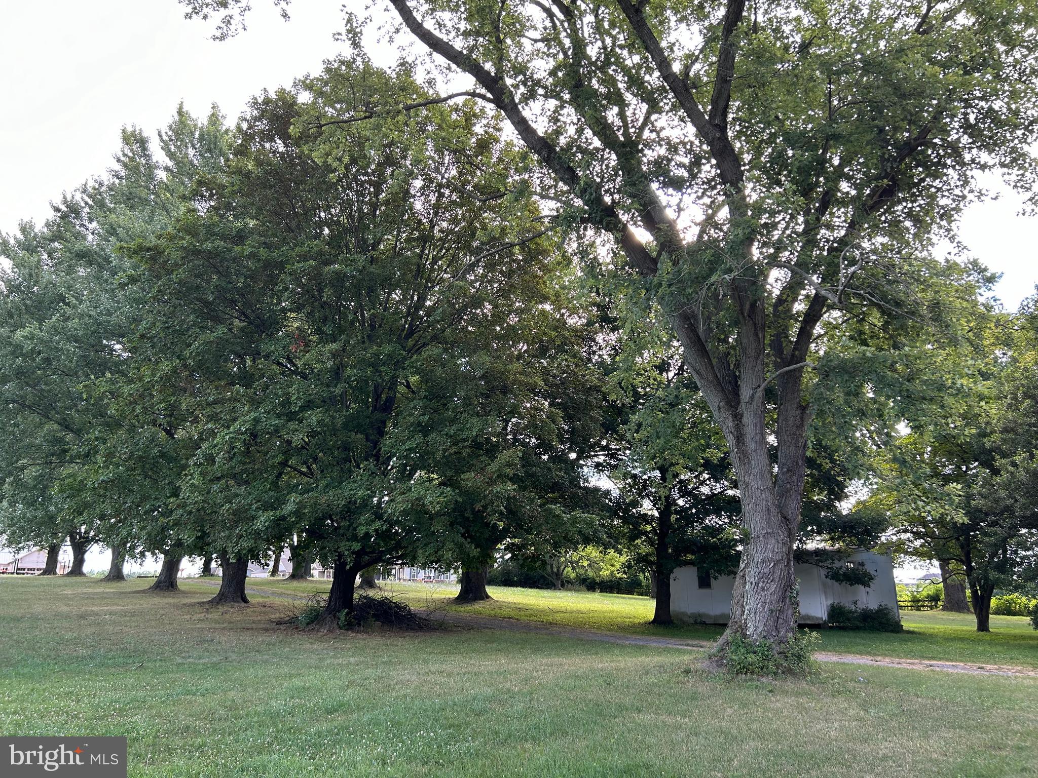 8826 Old Willowbrook Road Frederick, MD 21702 - Photo 11 of 14 a view of street with trees
