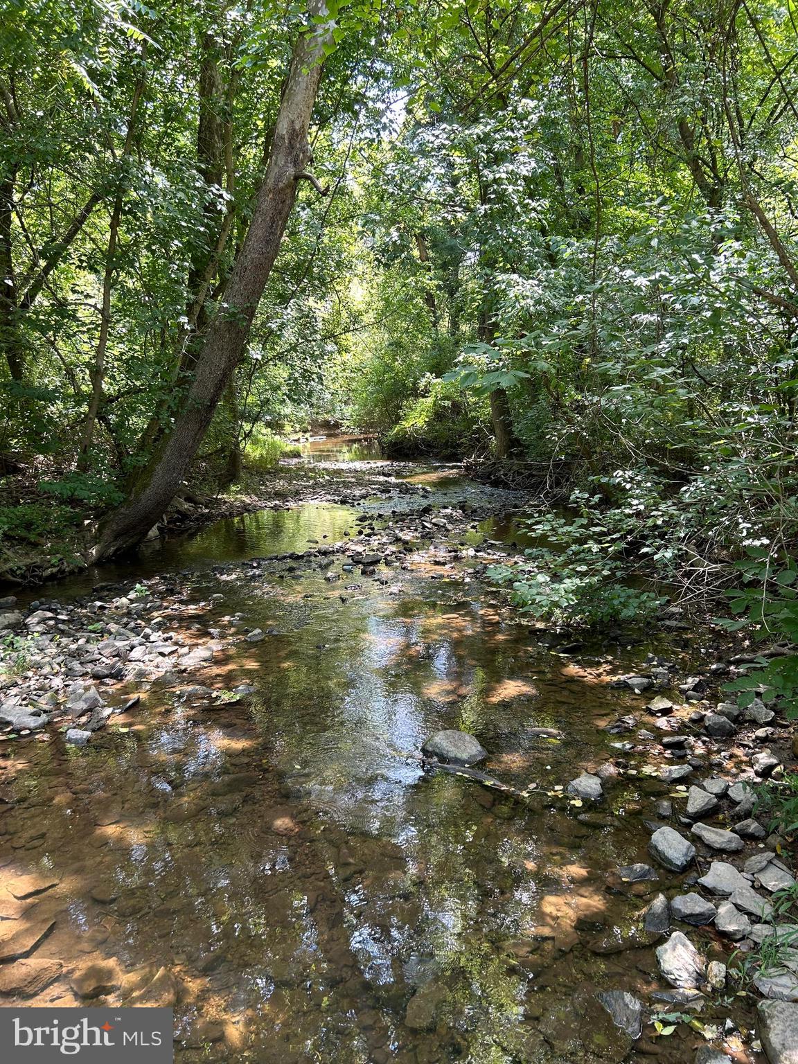 8826 Old Willowbrook Road Frederick, MD 21702 - Photo 2 of 14 a view of a tree with a yard