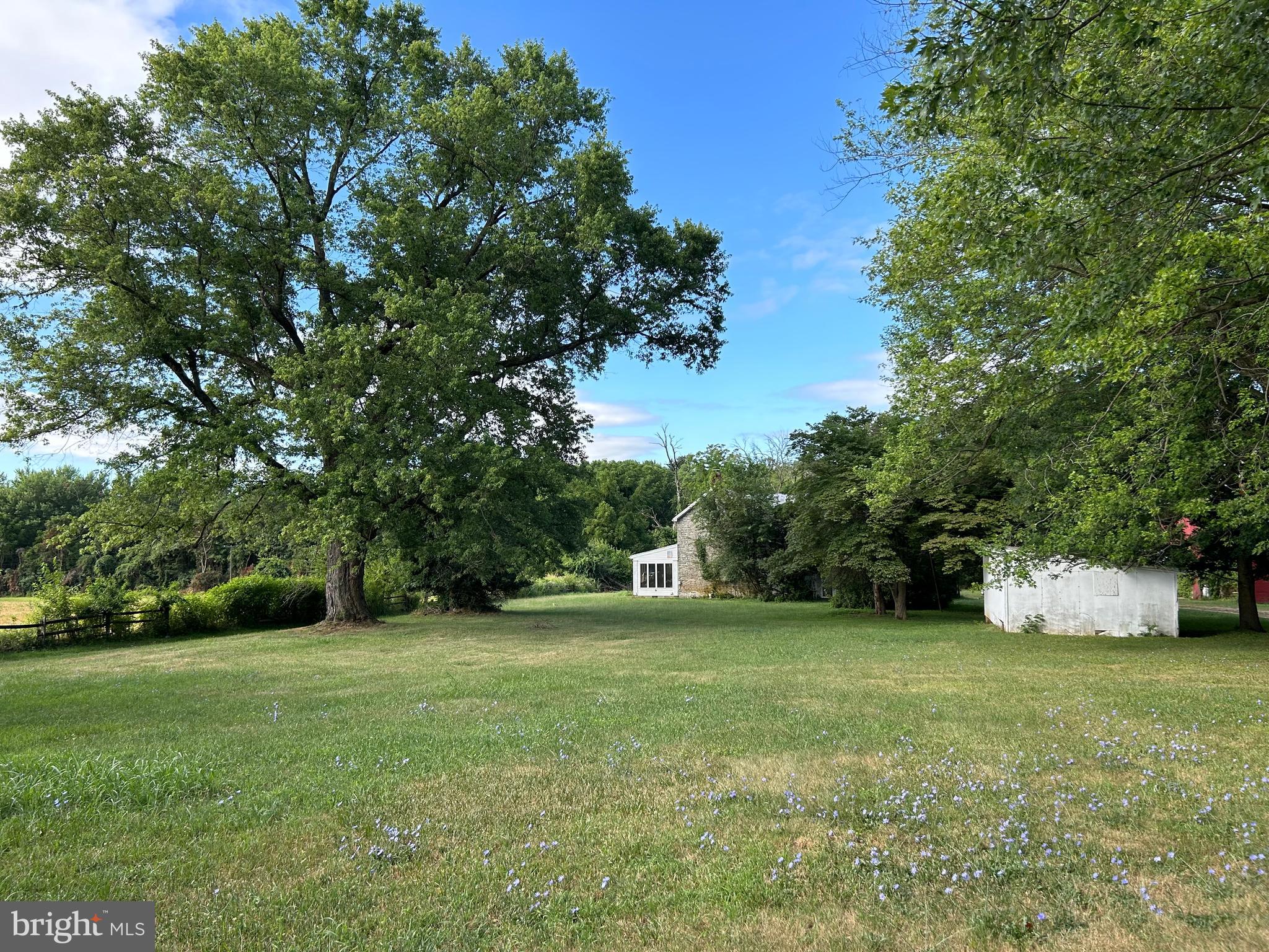 8826 Old Willowbrook Road Frederick, MD 21702 - Photo 4 of 14 a view of a field of grass and trees