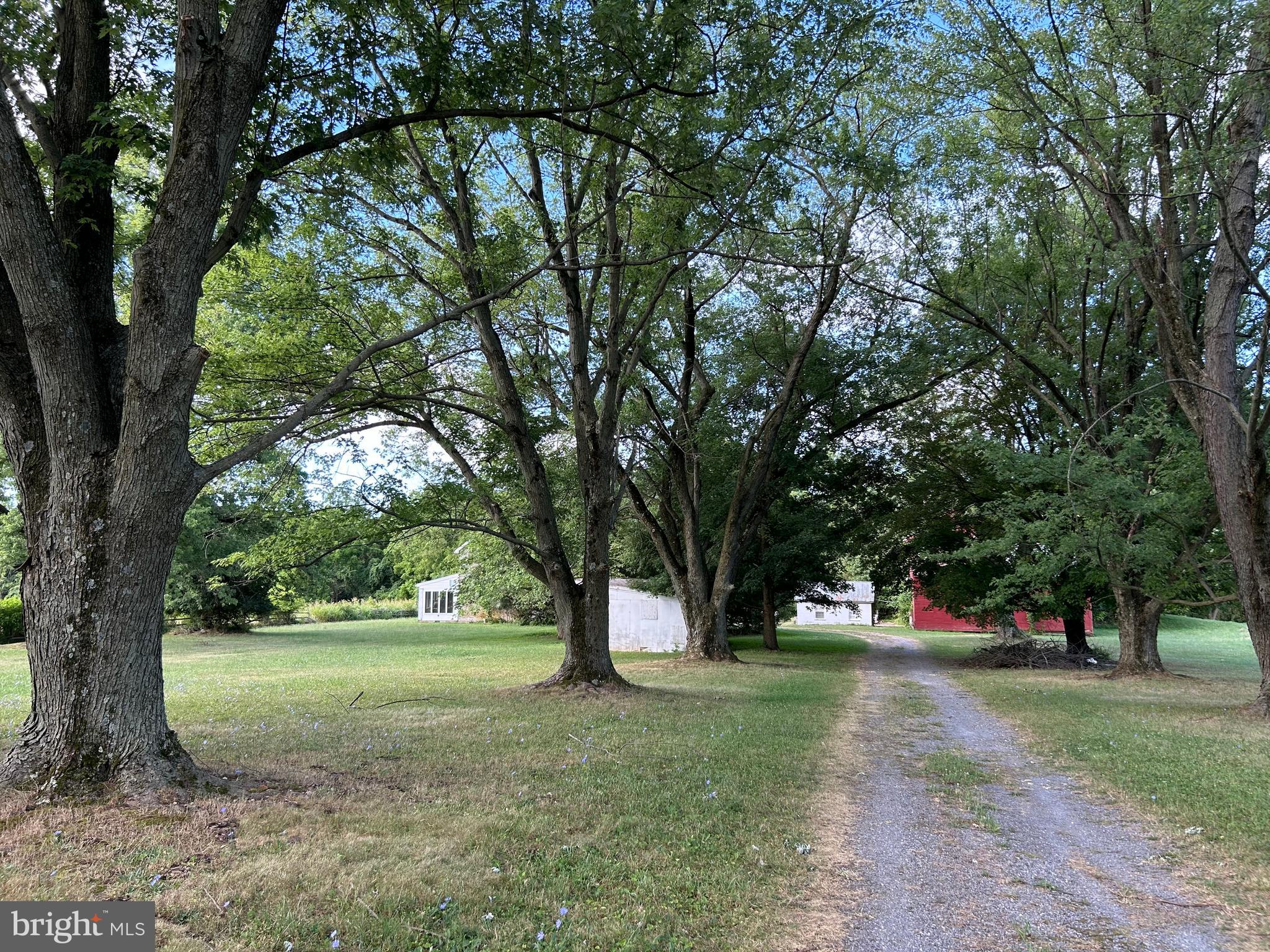 8826 Old Willowbrook Road Frederick, MD 21702 - Photo 6 of 14 a view of outdoor space with garden