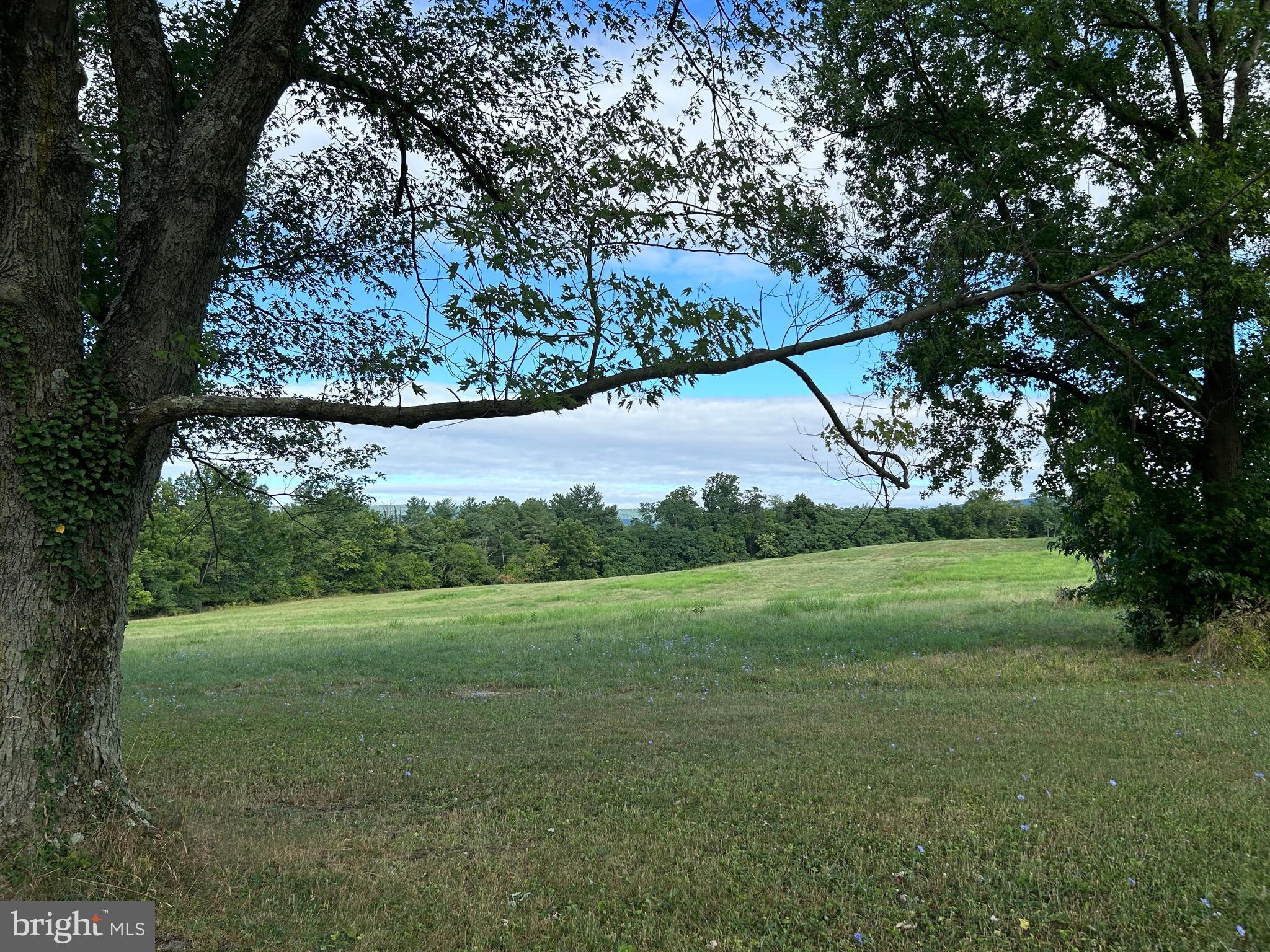8826 Old Willowbrook Road Frederick, MD 21702 - Photo 7 of 14 a view of a field of grass and trees