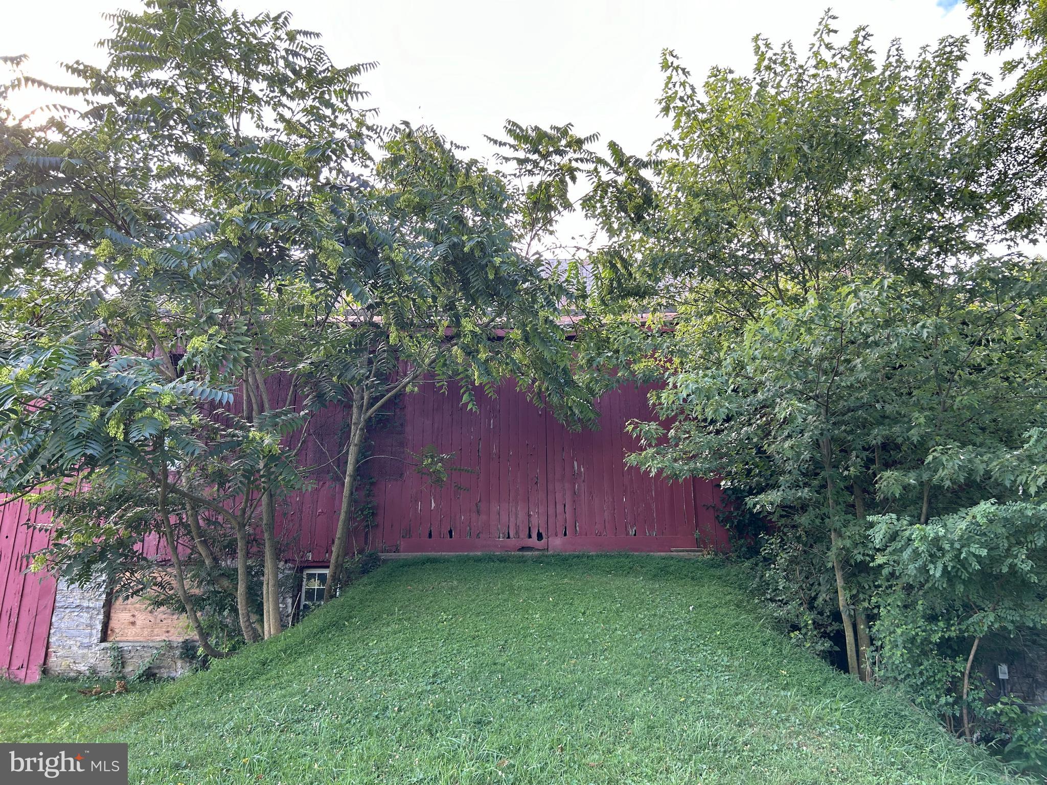 8826 Old Willowbrook Road Frederick, MD 21702 - Photo 9 of 14 a view of backyard with large trees