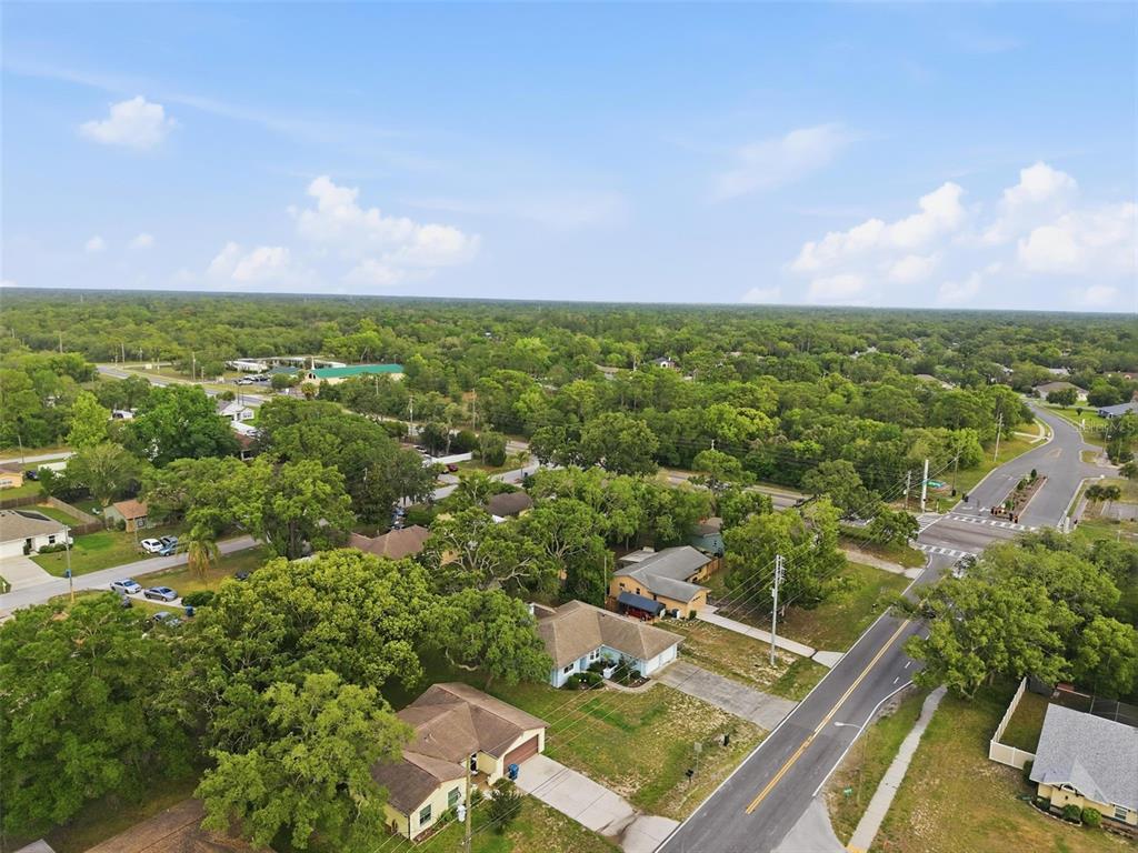 136 Waterfall Drive Spring Hill, FL 34608 - Photo 41 of 50