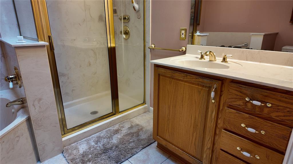 1767 Southeast 27th Loop Ocala, FL 34471 - Photo 40 of 79 a bathroom with a sink and a mirror