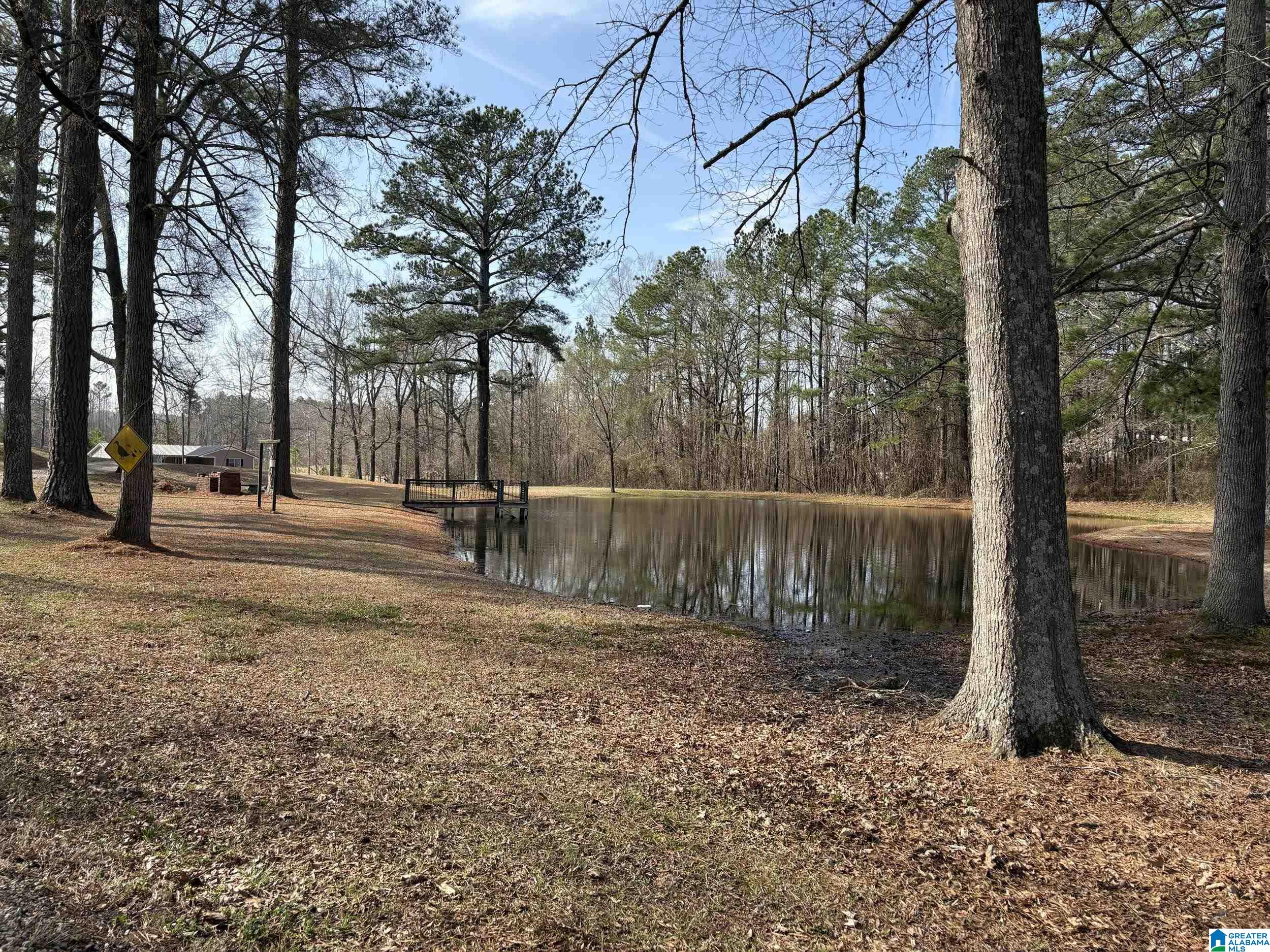 174 Mountain Road Ohatchee, AL 36271 - Photo 14 of 30
