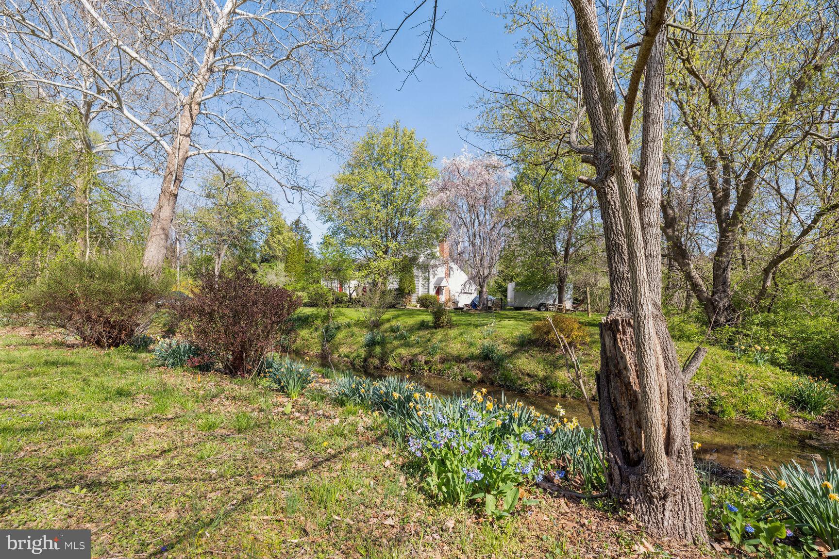 2912 Swift Shoals Road Boyce, VA 22620 - Photo 4 of 27 Blue Bells!