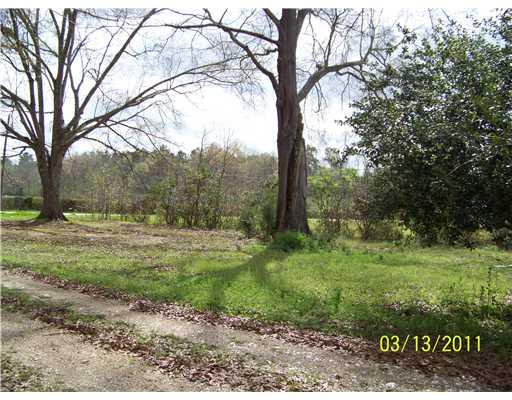 59503 Puleston Road Amite, LA 70422 - Photo 7 of 19 Gallery Image 7