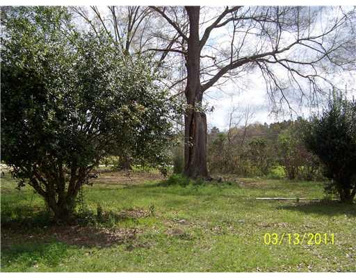 59503 Puleston Road Amite, LA 70422 - Photo 8 of 19 Gallery Image 8