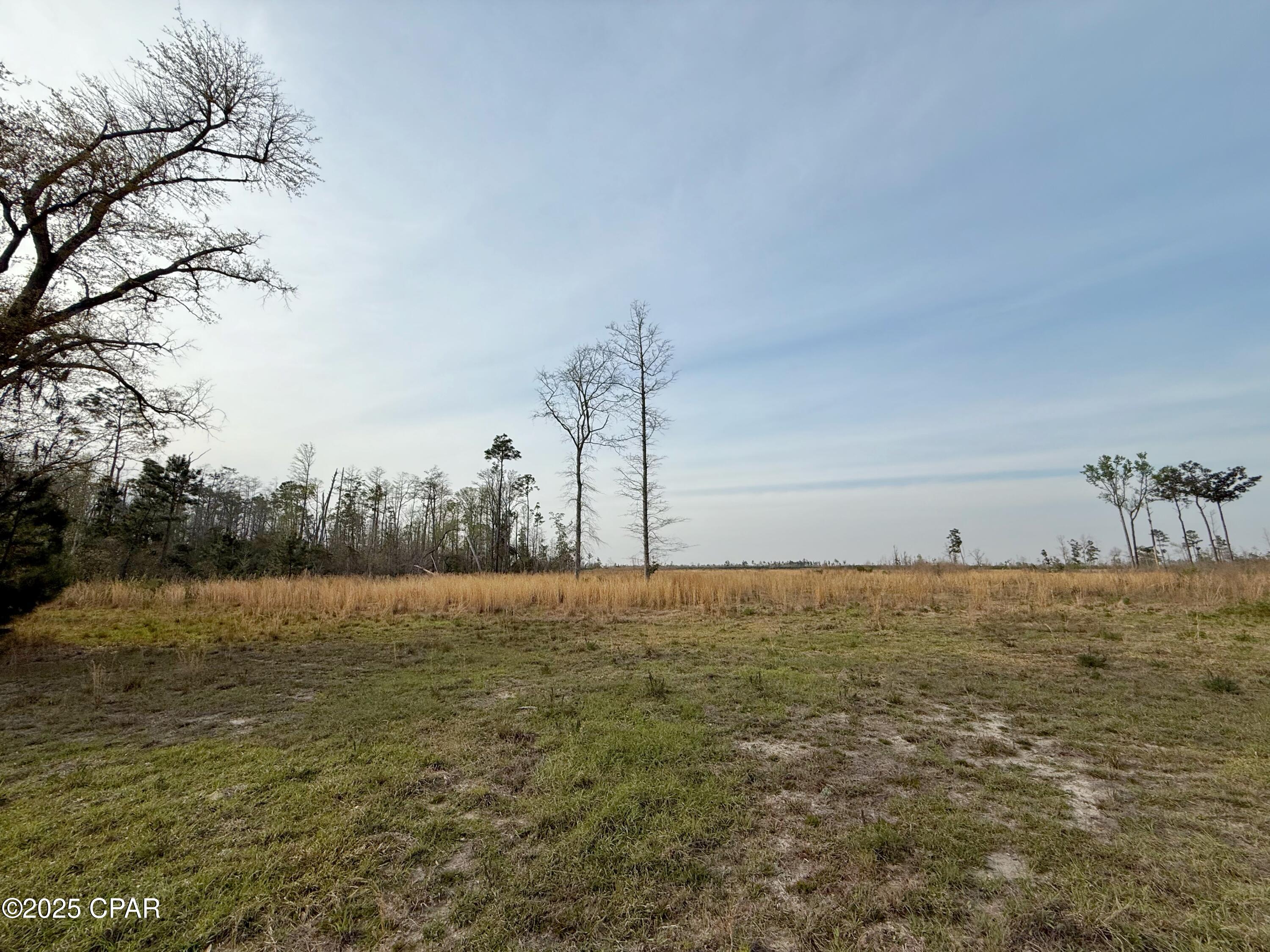 0 Peacock Bridge Road Marianna, FL 32448 - Photo 12 of 23 Gallery Image 12