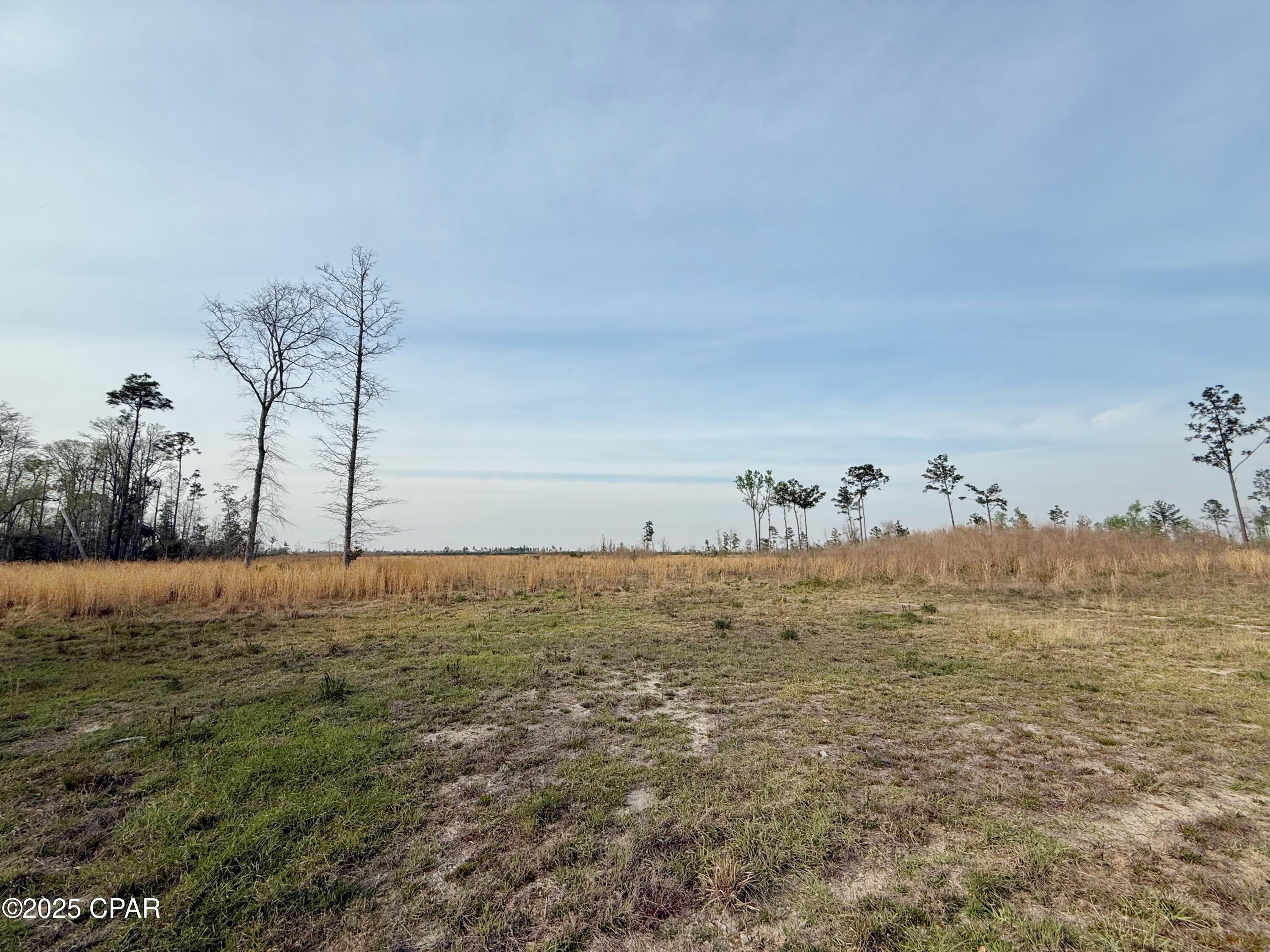 0 Peacock Bridge Road Marianna, FL 32448 - Photo 13 of 23 Gallery Image 13
