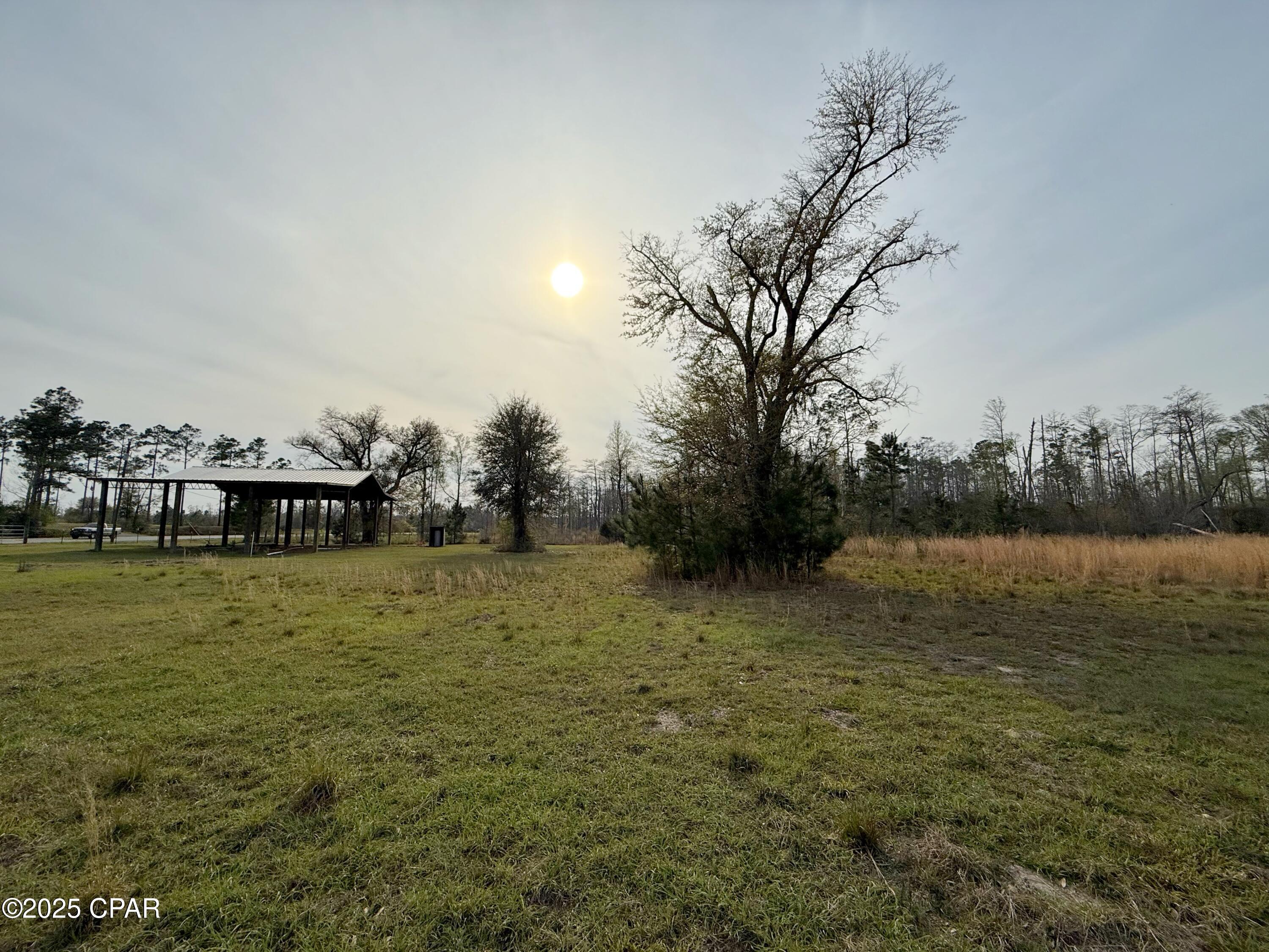0 Peacock Bridge Road Marianna, FL 32448 - Photo 14 of 23 Gallery Image 14
