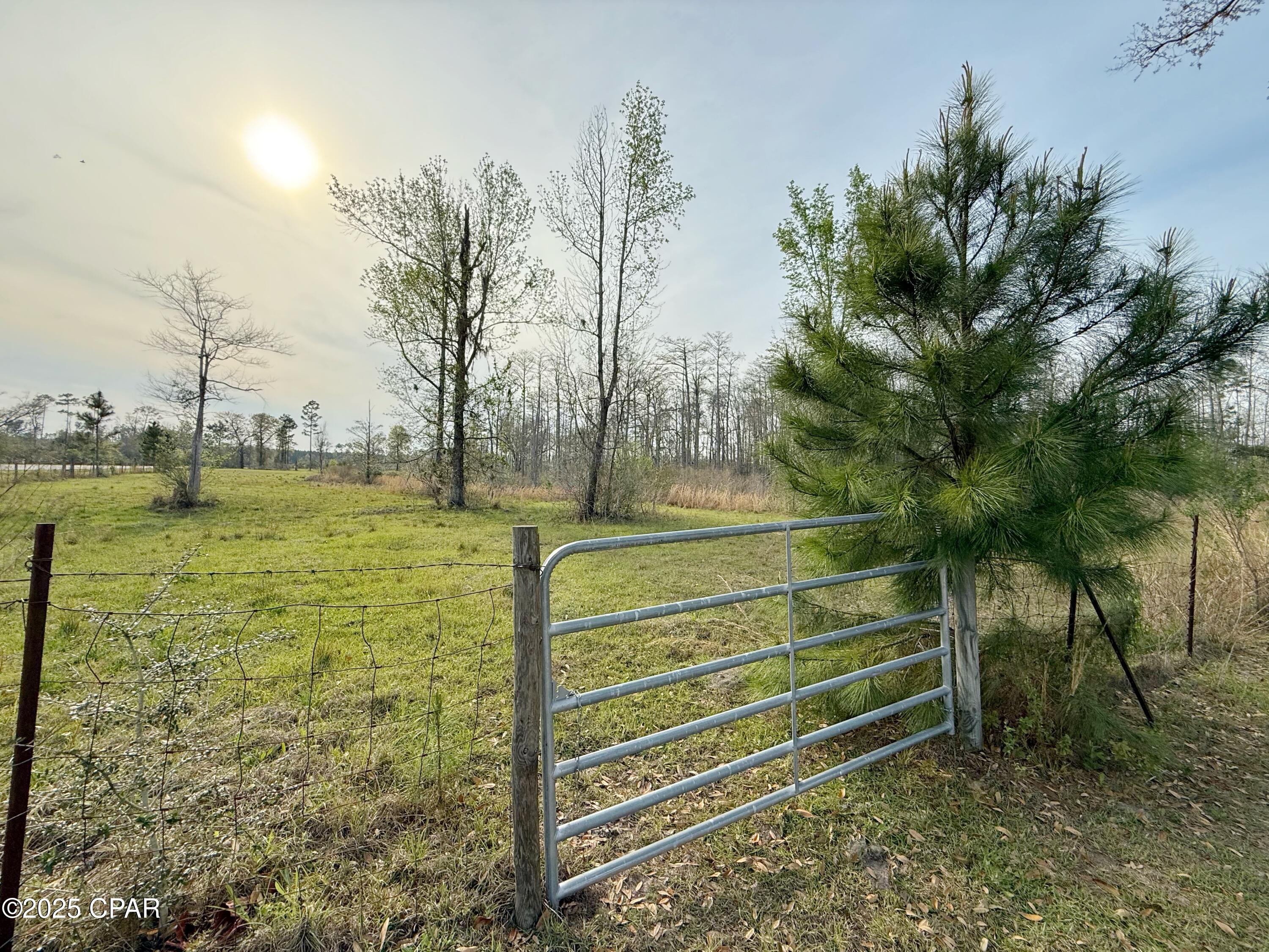0 Peacock Bridge Road Marianna, FL 32448 - Photo 15 of 23 Gallery Image 15