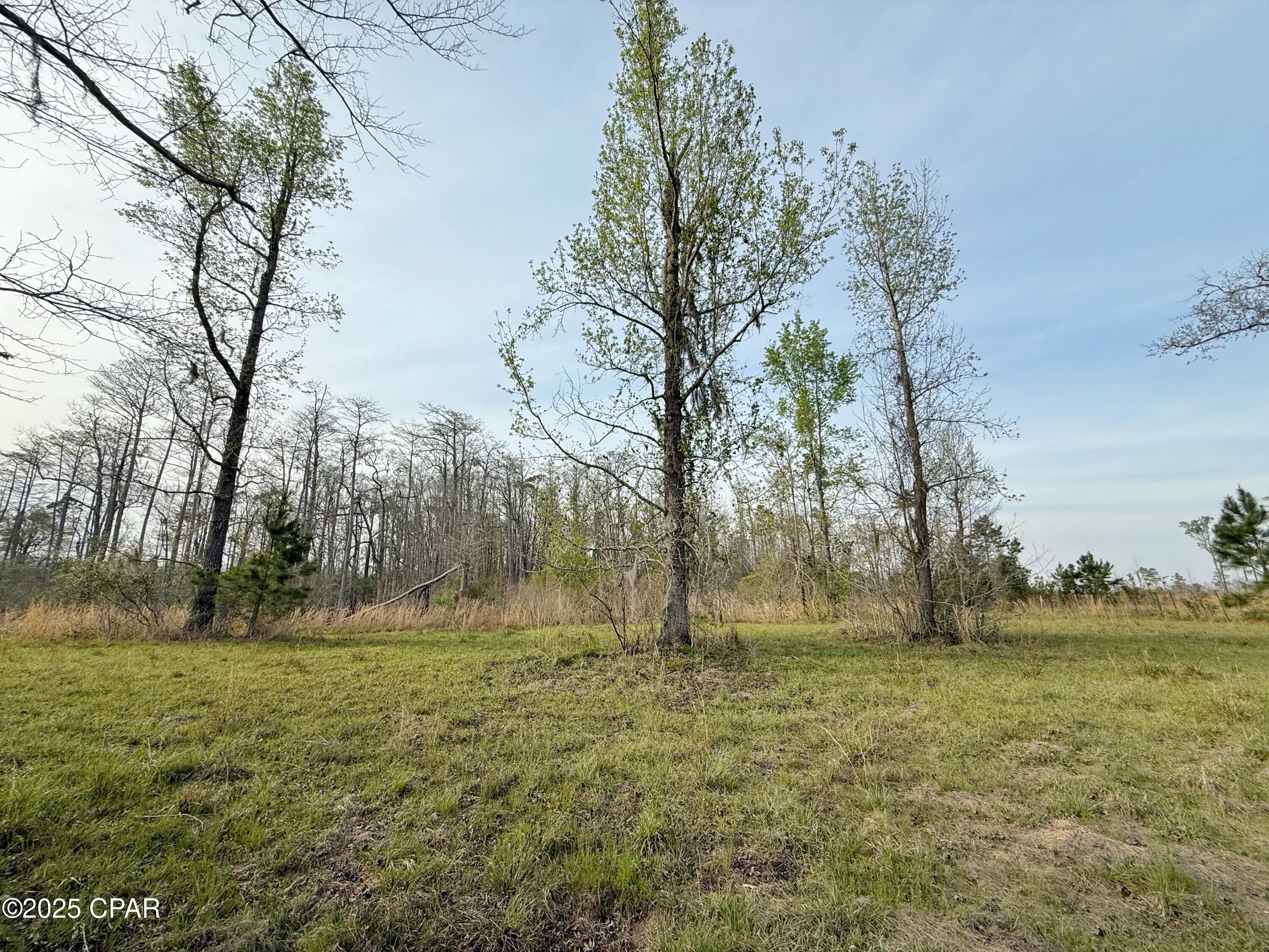 0 Peacock Bridge Road Marianna, FL 32448 - Photo 16 of 23 Gallery Image 16