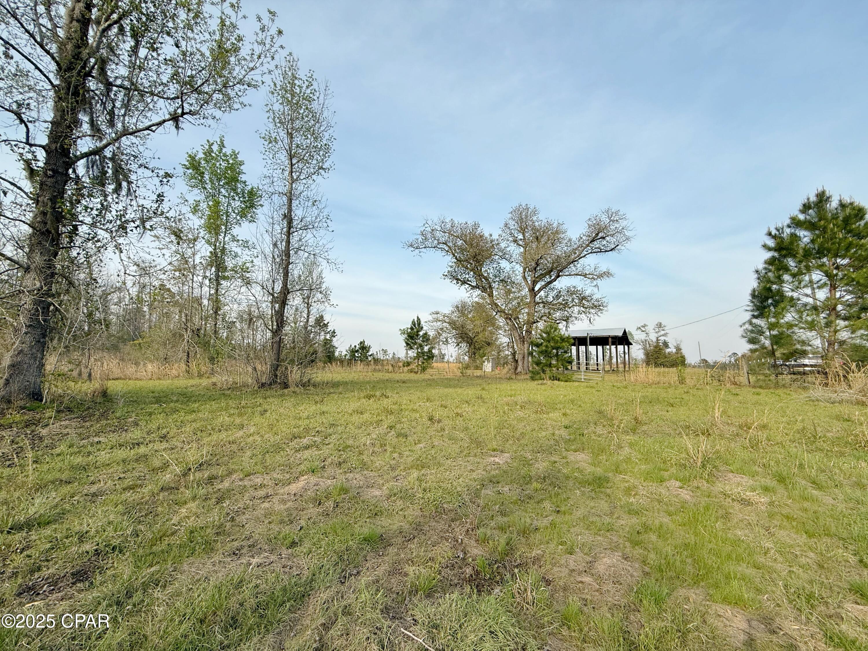 0 Peacock Bridge Road Marianna, FL 32448 - Photo 17 of 23 Gallery Image 17