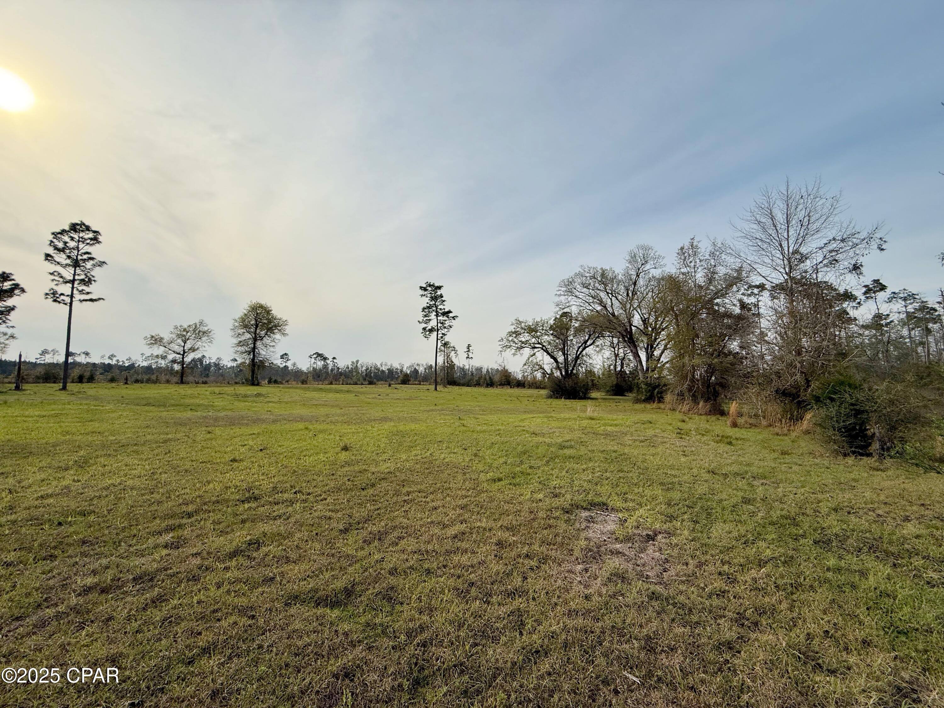 0 Peacock Bridge Road Marianna, FL 32448 - Photo 19 of 23 Gallery Image 19