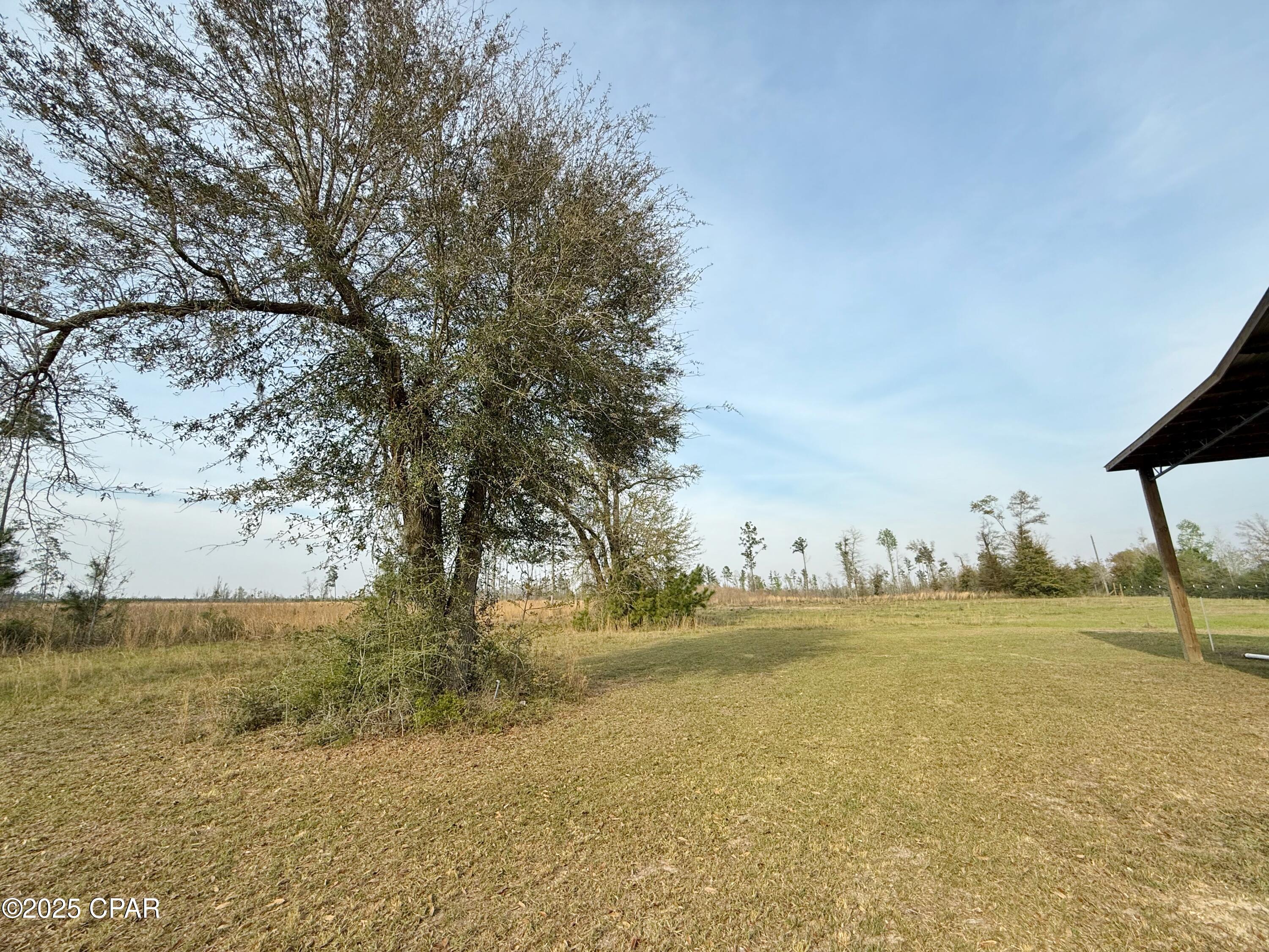 0 Peacock Bridge Road Marianna, FL 32448 - Photo 8 of 23 Gallery Image 8
