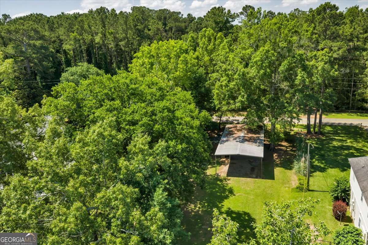 139 East Entrekin Road Cobb, GA 31735 - Photo 4 of 22