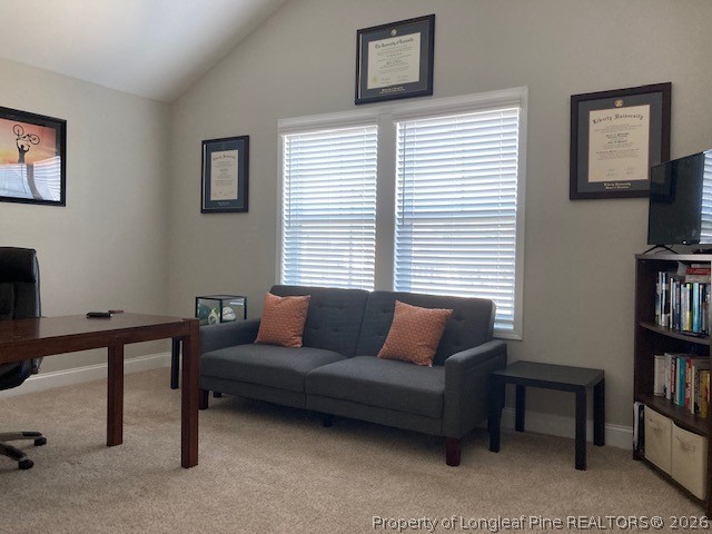 144 Haynes Church Road Raeford, NC 28376 - Photo 20 of 24 a living room with furniture and a window