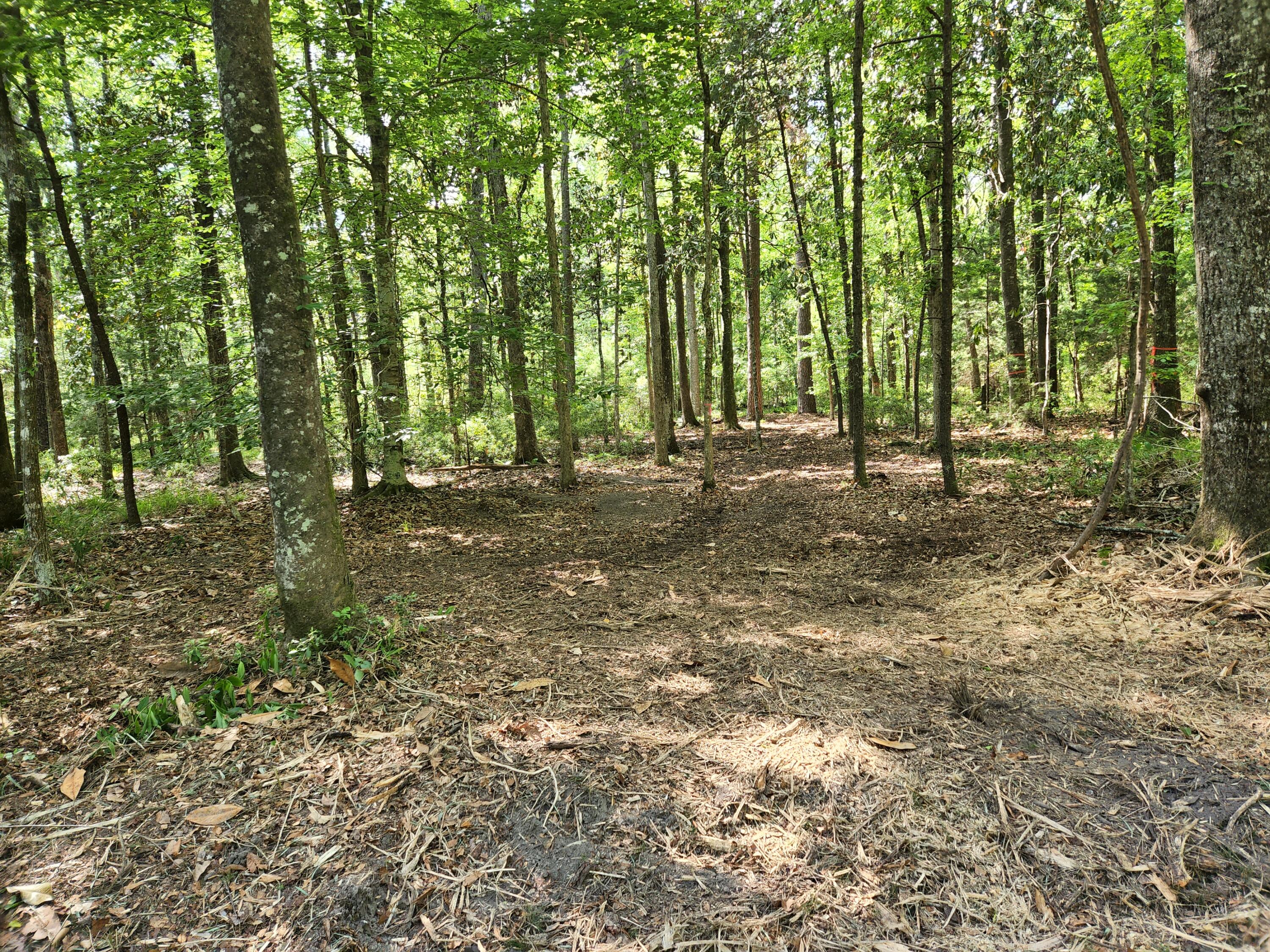 4759 Summit Plantation Road Hollywood, SC 29449 - Photo 7 of 7 Summit pictures 2 (7)