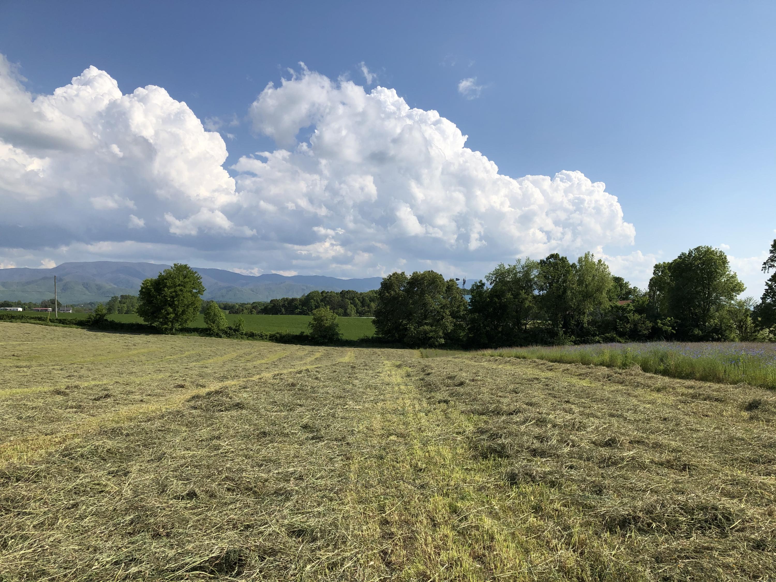 320 Mitchell Road, Unit 5 Chuckey, TN 37641 - Photo 13 of 18 ECB62503-2382-4532-949C-E9ABCC75E28E