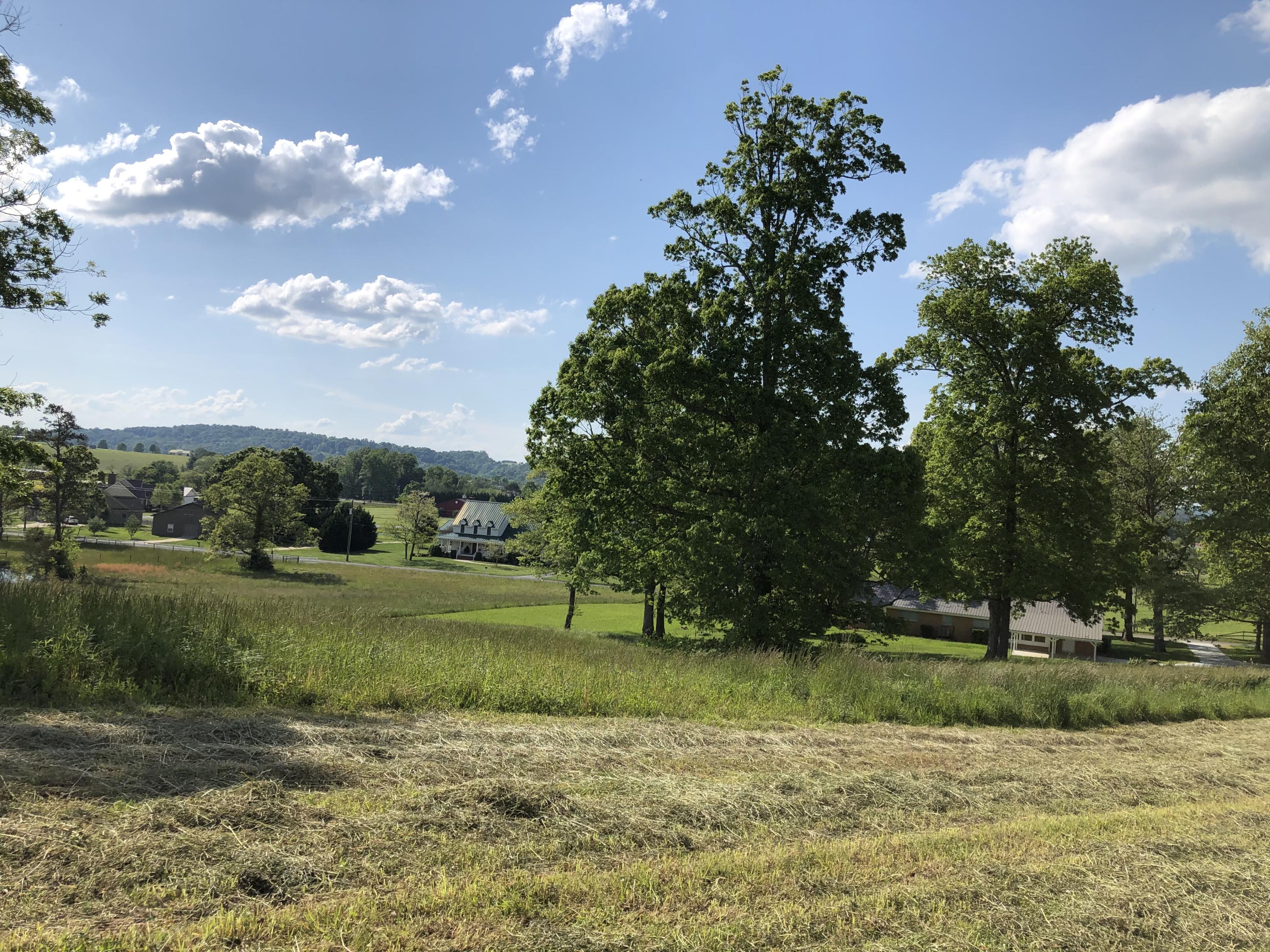 320 Mitchell Road, Unit 5 Chuckey, TN 37641 - Photo 14 of 18 0CFB0169-C348-45B1-983C-6DF7F8BC9149