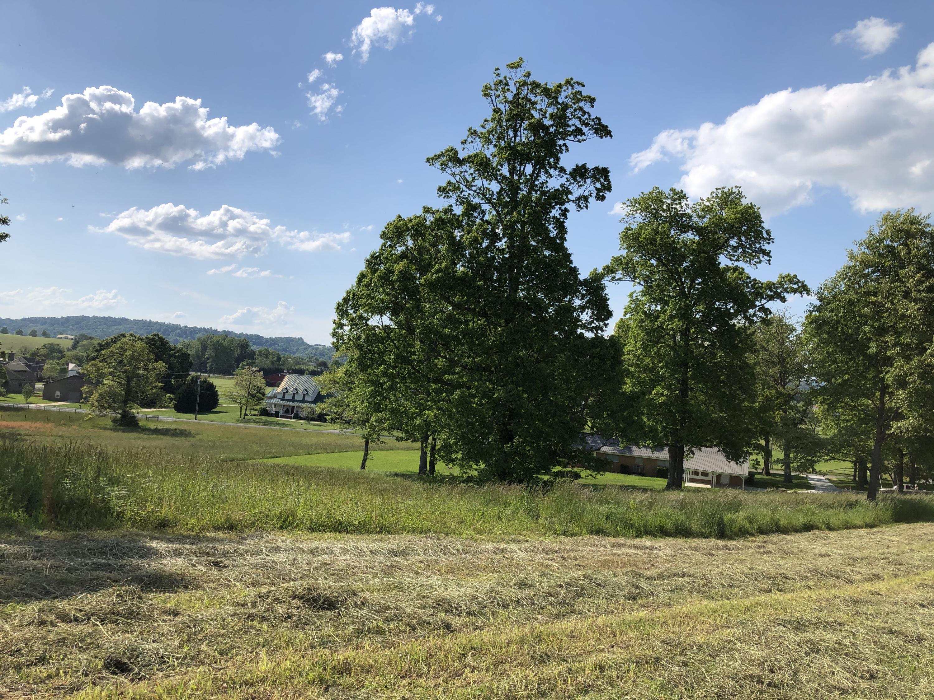 320 Mitchell Road, Unit 5 Chuckey, TN 37641 - Photo 15 of 18 D27363DF-4047-408F-9C80-D232E38A1D5D