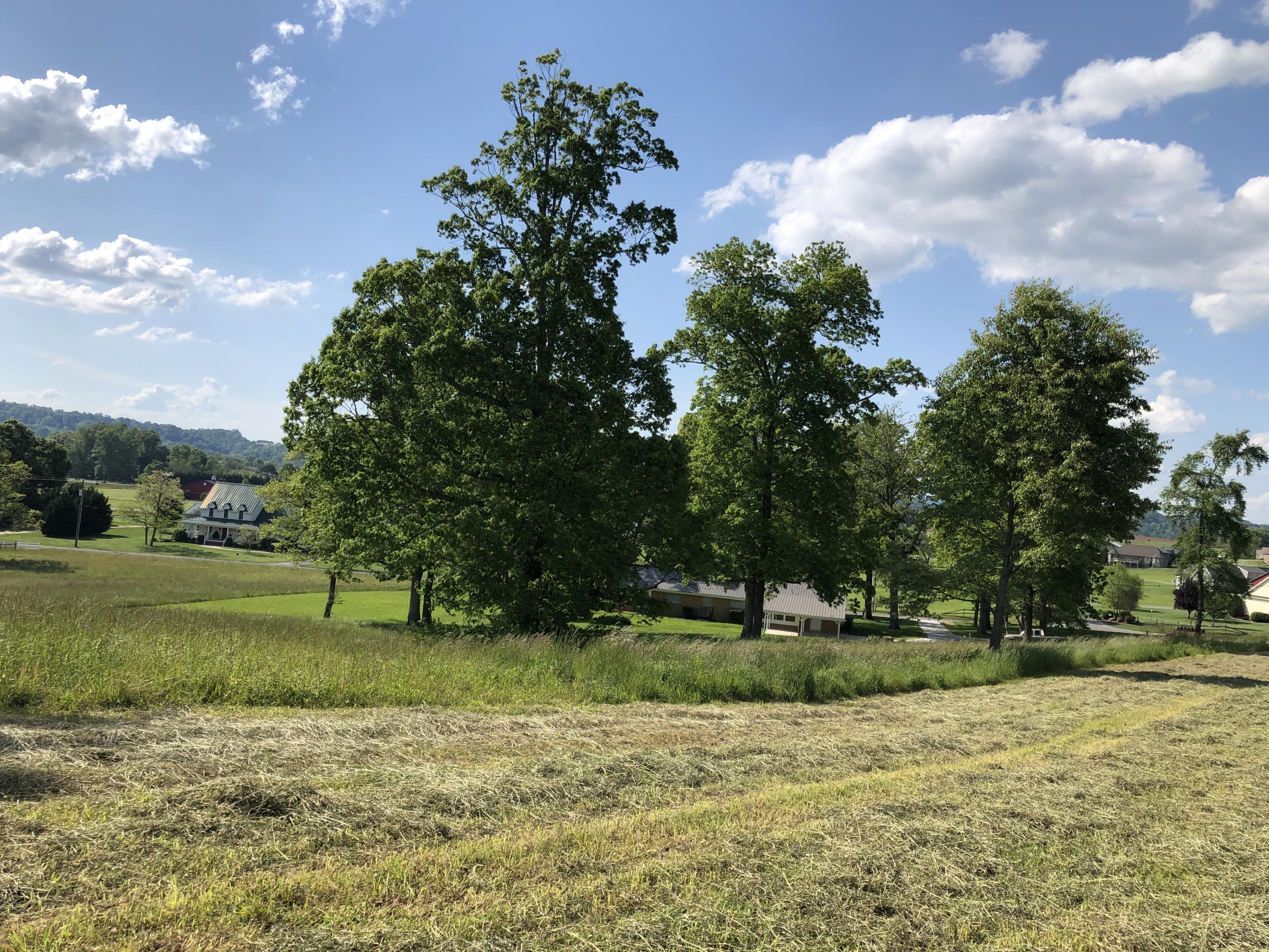 320 Mitchell Road, Unit 5 Chuckey, TN 37641 - Photo 16 of 18 CD81D3E4-02D2-4804-8CA7-8F424D3B3582