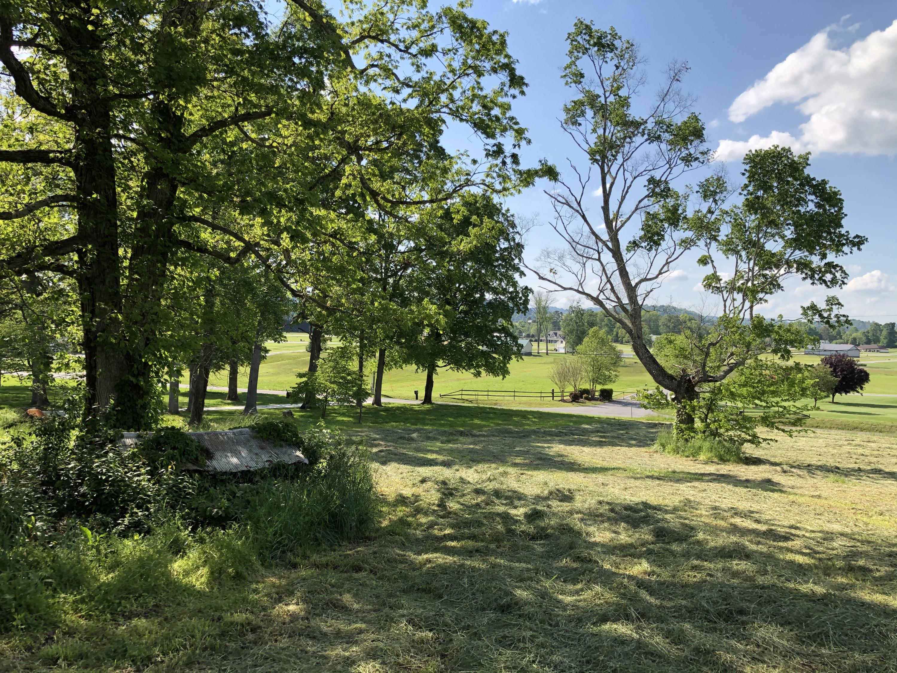 320 Mitchell Road, Unit 5 Chuckey, TN 37641 - Photo 17 of 18 B13BC57C-4AFA-48F9-AAEA-1C529A160652