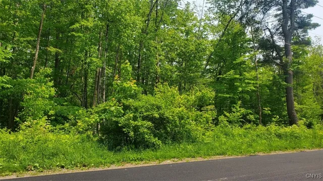 $45,000 | 0 Kiwanis Road, Taberg, NY 13471