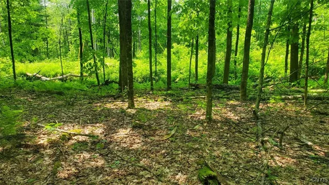 $45,000 | 0 Kiwanis Road, Taberg, NY 13471