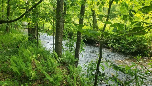 $45,000 | 0 Kiwanis Road, Taberg, NY 13471