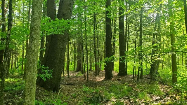 $45,000 | 0 Kiwanis Road, Taberg, NY 13471