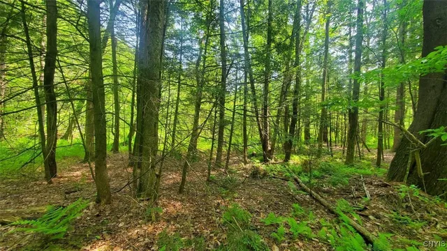 $45,000 | 0 Kiwanis Road, Taberg, NY 13471