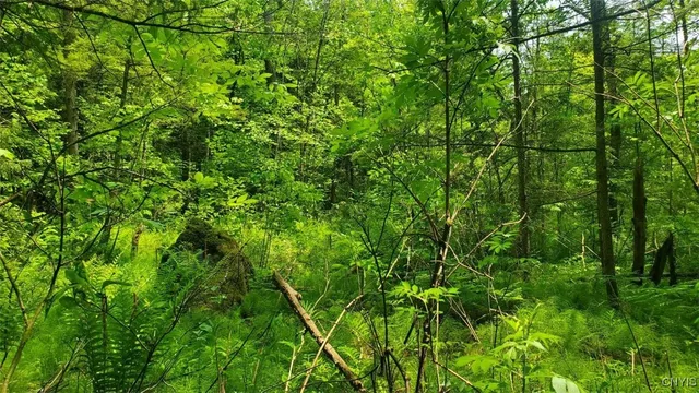 $45,000 | 0 Kiwanis Road, Taberg, NY 13471