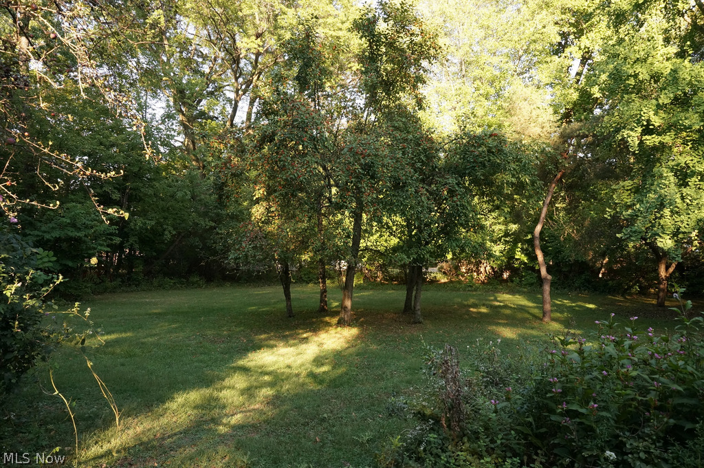 1549 Wood Road Cleveland Heights, OH 44121 - Photo 22 of 25