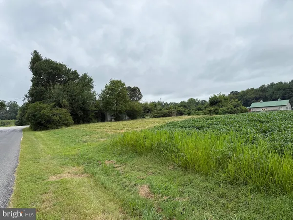 a big yard with lots of green space and fog